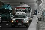 Dcim4925/DSC_3806