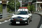 Dcim4927/DSC_4005