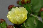 Dcim4929/DSC_4199