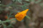 Dcim4933/DSC_4571