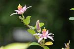 Dcim4937/DSC_5052