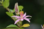 Dcim4937/DSC_5055