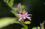 Dcim4937/DSC_5057
