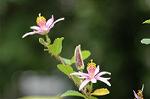 Dcim4937/DSC_5058