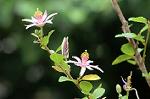Dcim4937/DSC_5061
