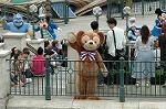 Dcim4938/DSC_5133