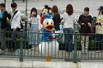 Dcim4938/DSC_5140