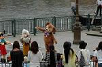 Dcim4938/DSC_5149