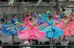 Dcim4939/DSC_5263