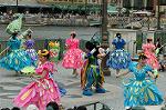 Dcim4939/DSC_5266