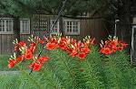 Dcim4943/DSC_5815