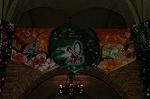 Dcim4947/DSC_6329