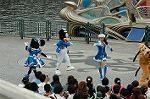 Dcim4949/DSC_6390