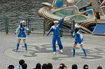 Dcim4949/DSC_6392