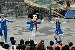 Dcim4949/DSC_6402