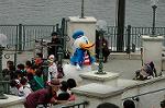Dcim4949/DSC_6404
