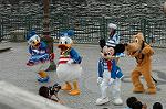 Dcim4949/DSC_6424