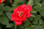 Dcim4949/DSC_6473