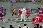Dcim4951/DSC_6642