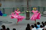 Dcim4951/DSC_6652