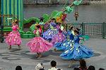 Dcim4951/DSC_6653