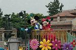 Dcim4951/DSC_6716