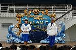 Dcim4952/DSC_6748