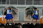 Dcim4952/DSC_6795