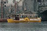 Dcim4954/DSC_7083