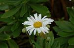 Dcim4956/DSC_7373