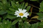 Dcim4956/DSC_7374