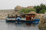 Dcim4956/DSC_7377