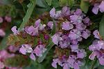 Dcim4957/DSC_7400
