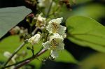 Dcim4962/DSC_7835