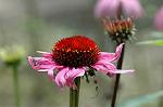 Dcim4962/DSC_7840