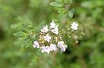 Dcim4964/DSC_8034