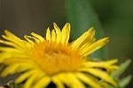 Dcim4965/DSC_8113