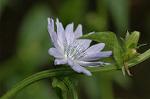 Dcim4965/DSC_8150