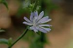 Dcim4965/DSC_8151