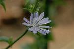 Dcim4965/DSC_8152