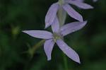 Dcim4971/DSC_8821