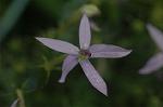 Dcim4971/DSC_8823
