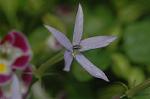 Dcim4971/DSC_8824