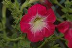Dcim4971/DSC_8830