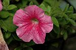 Dcim4971/DSC_8835