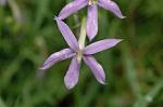 Dcim4971/DSC_8837