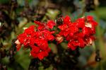 Dcim4971/DSC_8850