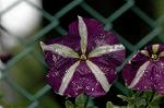 Dcim4971/DSC_8852