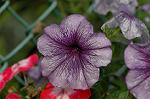 Dcim4971/DSC_8855