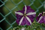 Dcim4971/DSC_8858